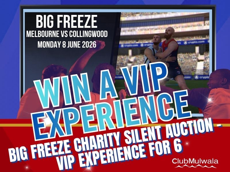 W Big Freeze VIP Charity Auction.jpg (1)